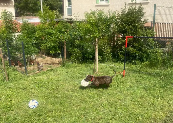 Διαμέρισμα Bienvenue « a L'ombre Du Figuier » *